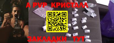 шишки Кандалакша