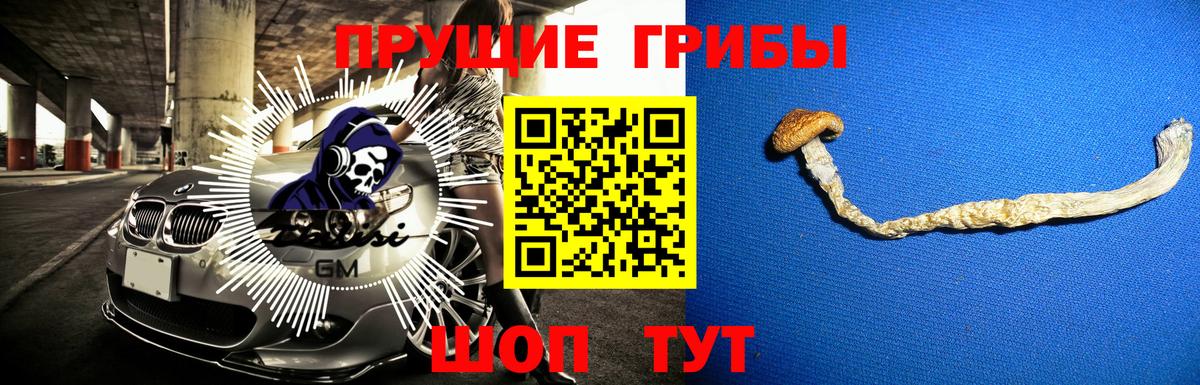 Галлюциногенные грибы Psilocybine cubensis  Вход с VPN  Псилоцибиновые грибы Cubensis  Курчатов 